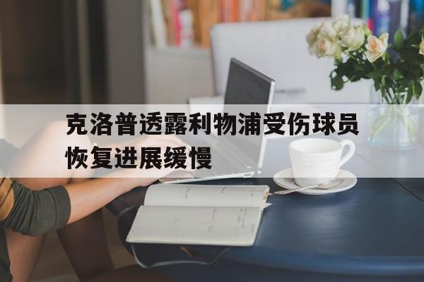 包含克洛普透露利物浦受伤球员恢复进展缓慢的词条